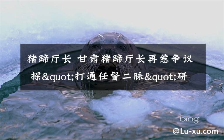 猪蹄厅长 甘肃猪蹄厅长再惹争议 探"打通任督二脉"研究所