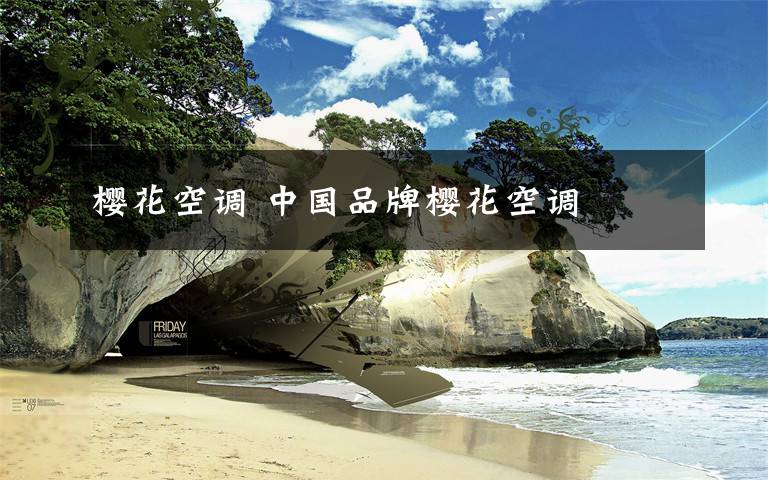 樱花空调 中国品牌樱花空调