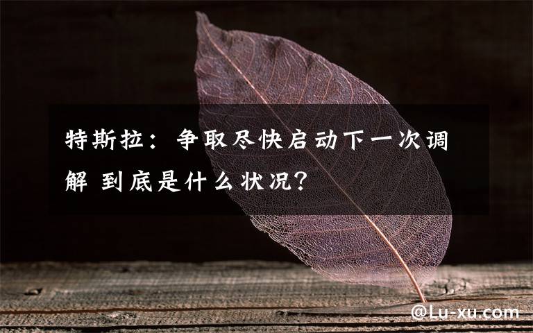 特斯拉：争取尽快启动下一次调解 到底是什么状况？