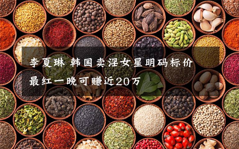 李夏琳 韩国卖淫女星明码标价 最红一晚可赚近20万