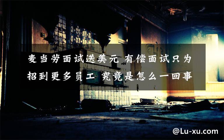 麦当劳面试送美元 有偿面试只为招到更多员工 究竟是怎么一回事?