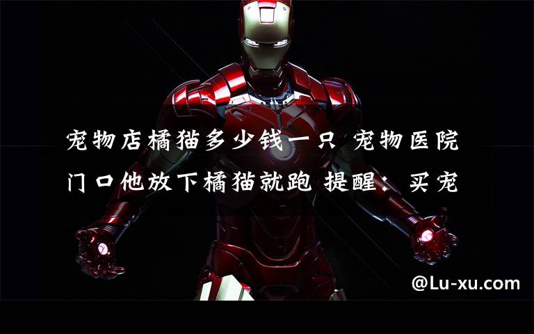 宠物店橘猫多少钱一只 宠物医院门口他放下橘猫就跑 提醒:买宠物不要冲动“消费”