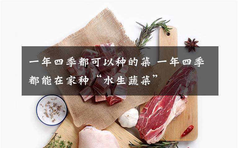 一年四季都可以种的菜 一年四季都能在家种“水生蔬菜”