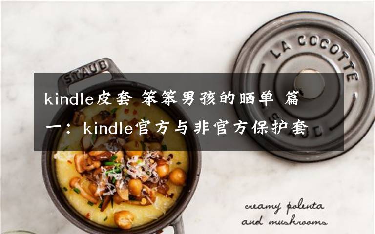 kindle皮套 笨笨男孩的晒单 篇一:kindle官方与非官方保护套的非权威比较