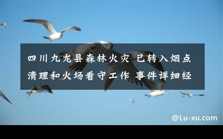四川九龙县森林火灾 已转入烟点清理和火场看守工作 事件详细经过!