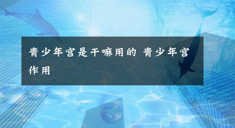 青少年宫是干嘛用的 青少年宫作用