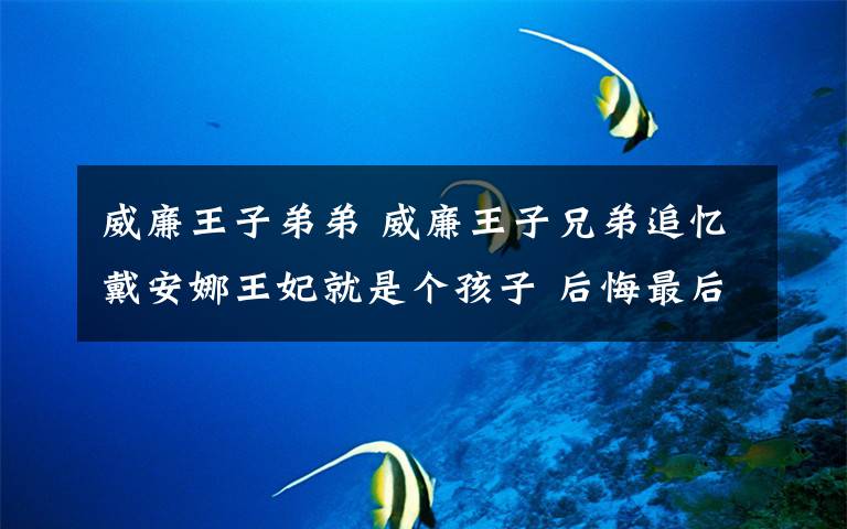 威廉王子弟弟 威廉王子兄弟追忆戴安娜王妃就是个孩子 后悔最后通话时间短