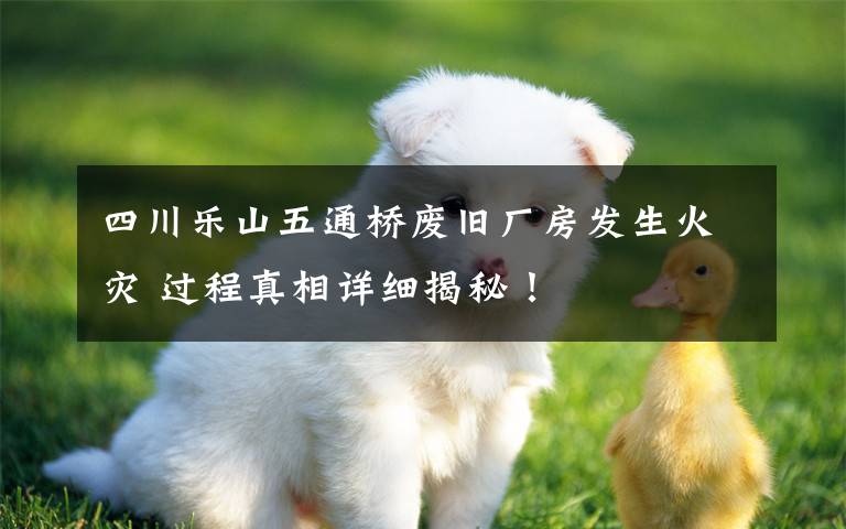 四川乐山五通桥废旧厂房发生火灾 过程真相详细揭秘！