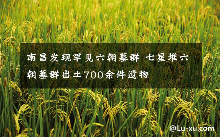 南昌发现罕见六朝墓群 七星堆六朝墓群出土700余件遗物