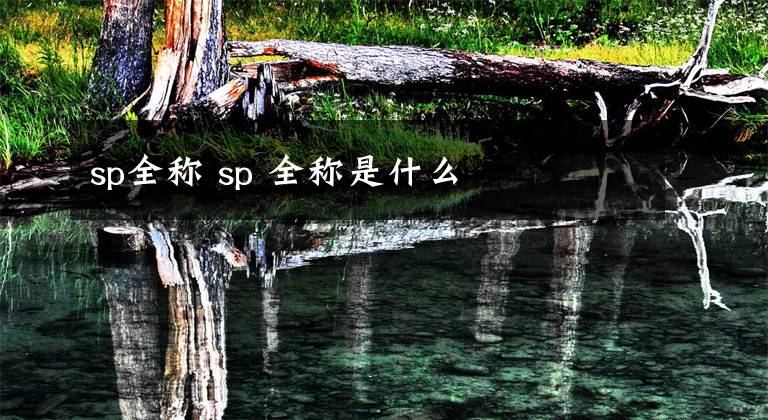 sp全称 sp 全称是什么