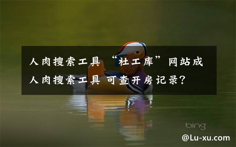 人肉搜索工具 “社工库”网站成人肉搜索工具 可查开房记录?