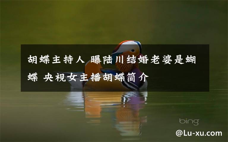 胡蝶主持人 曝陆川结婚老婆是蝴蝶 央视女主播胡蝶简介