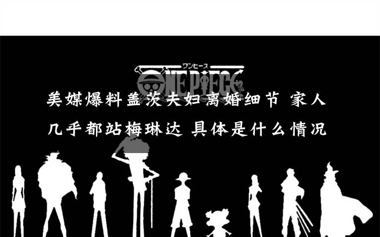 美媒爆料盖茨夫妇离婚细节 家人几乎都站梅琳达 具体是什么情况？