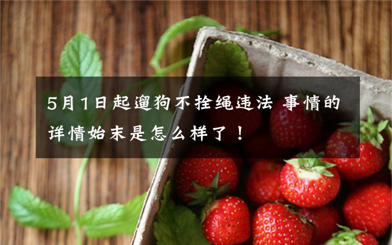 5月1日起遛狗不拴绳违法 事情的详情始末是怎么样了！