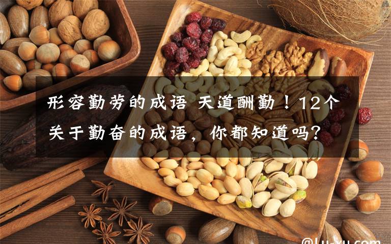 形容勤劳的成语 天道酬勤!12个关于勤奋的成语,你都知道吗?