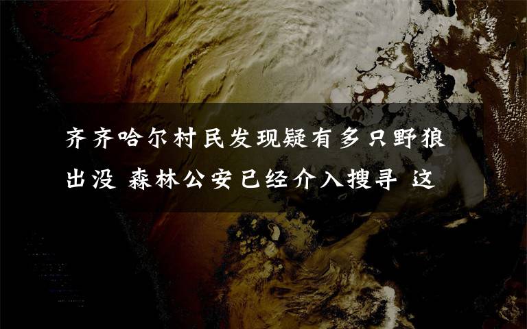 齐齐哈尔村民发现疑有多只野狼出没 森林公安已经介入搜寻 这意味着什么?