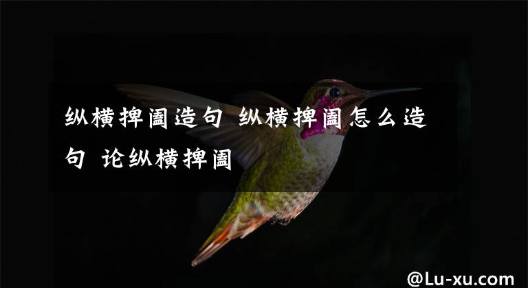 纵横捭阖造句 纵横捭阖怎么造句 论纵横捭阖