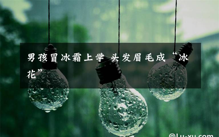 男孩冒冰霜上学 头发眉毛成“冰花”