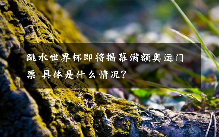跳水世界杯即将揭幕满额奥运门票 具体是什么情况?