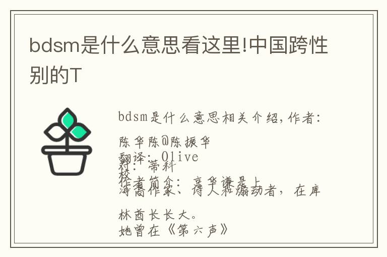 bdsm是什么意思看这里!中国跨性别的T