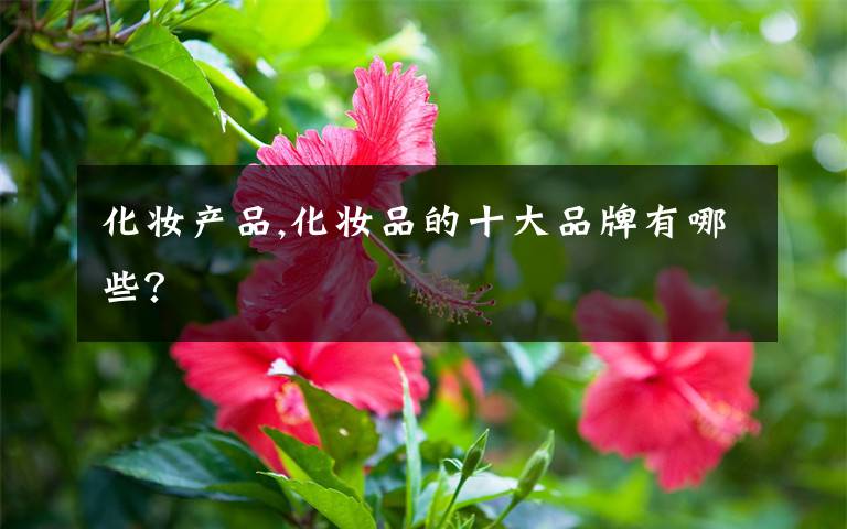 化妆产品,化妆品的十大品牌有哪些？