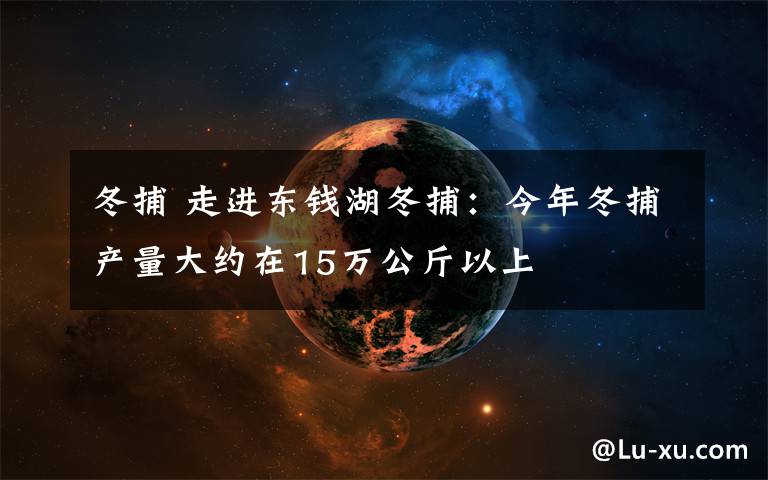 冬捕 走进东钱湖冬捕：今年冬捕产量大约在15万公斤以上