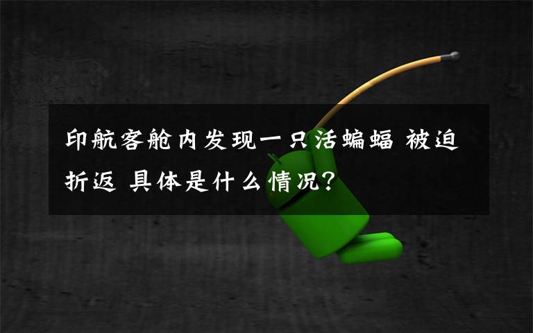 印航客舱内发现一只活蝙蝠 被迫折返 具体是什么情况?