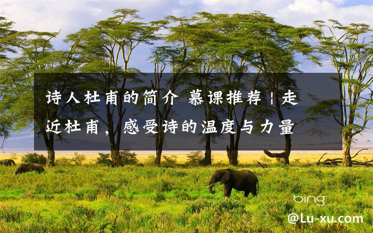 诗人杜甫的简介 慕课推荐 | 走近杜甫,感受诗的温度与力量