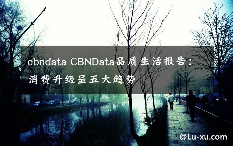 cbndata CBNData品质生活报告:消费升级呈五大趋势