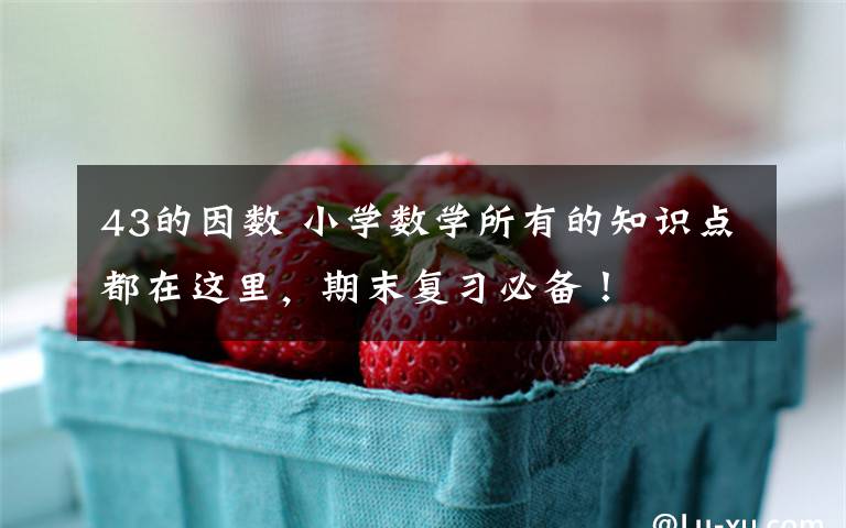 43的因数 小学数学所有的知识点都在这里,期末复习必备!
