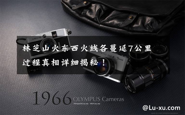 林芝山火东西火线各蔓延7公里 过程真相详细揭秘!