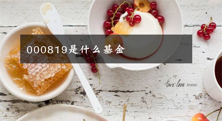 000819是什么基金