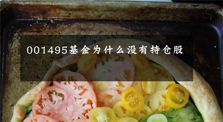 001495基金为什么没有持仓股