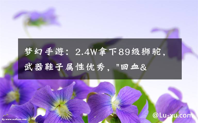 梦幻手游:2.4W拿下89级狮驼,武器鞋子属性优秀,"回血"不少