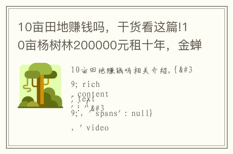 10亩田地赚钱吗,干货看这篇!10亩杨树林200000元租十年,金蝉一年净赚10万,价格合理吗?