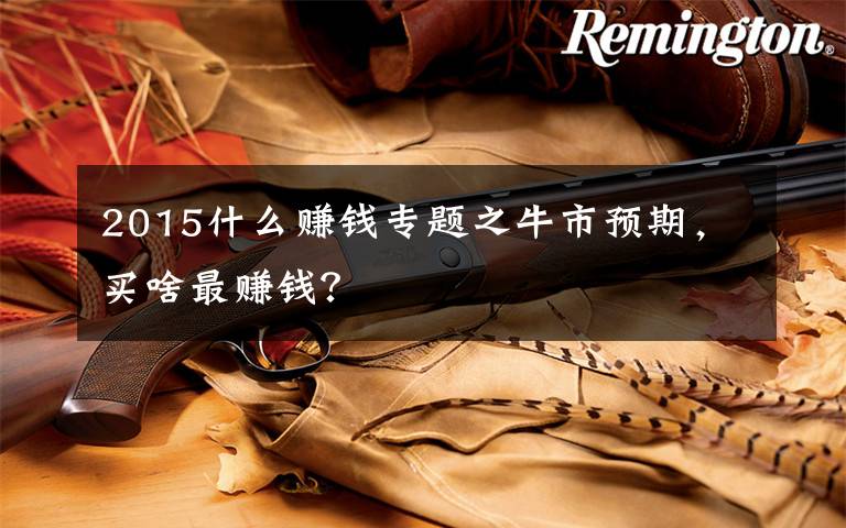 2015什么赚钱专题之牛市预期，买啥最赚钱？
