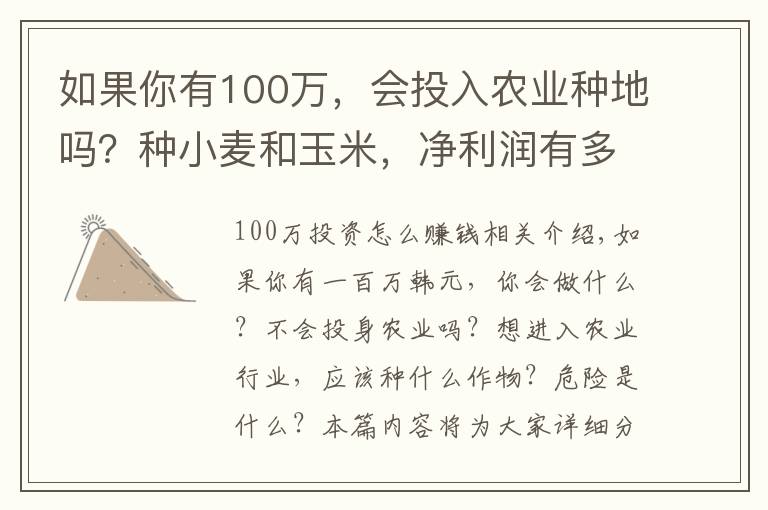 如果你有100万,会投入农业种地吗?种小麦和玉米,净利润有多少
