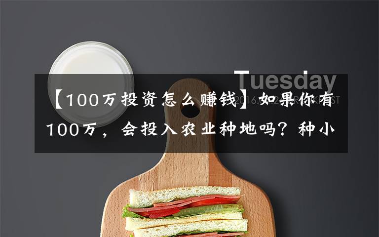 【100万投资怎么赚钱】如果你有100万,会投入农业种地吗?种小麦和玉米,净利润有多少