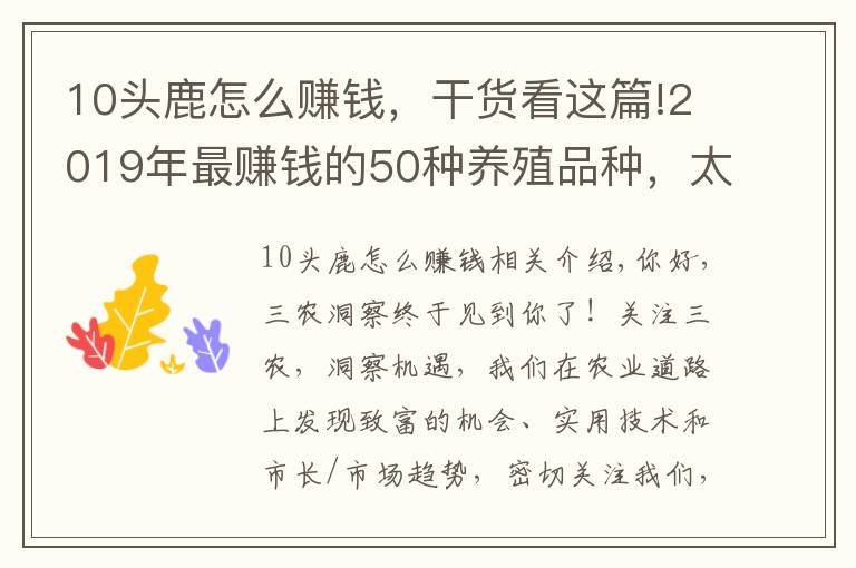 10头鹿怎么赚钱,干货看这篇!2019年最赚钱的50种养殖品种,太全了
