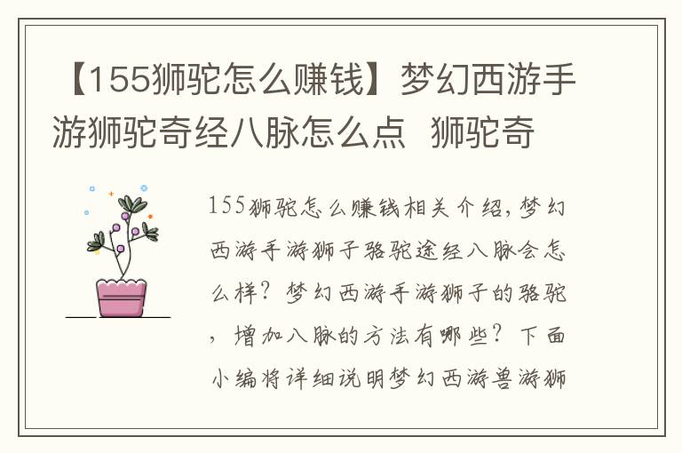 【155狮驼怎么赚钱】梦幻西游手游狮驼奇经八脉怎么点  狮驼奇经八脉加点