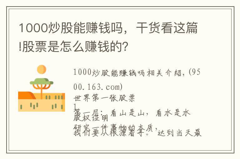 1000炒股能赚钱吗,干货看这篇!股票是怎么赚钱的?