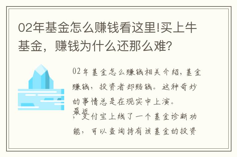 02年基金怎么赚钱看这里!买上牛基金，赚钱为什么还那么难？