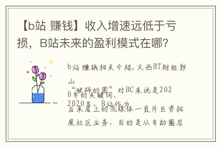 【b站 赚钱】收入增速远低于亏损，B站未来的盈利模式在哪？