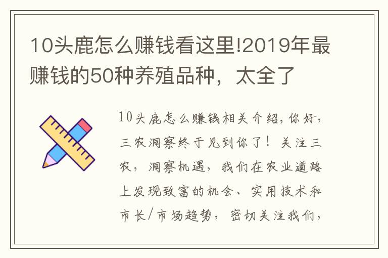 10头鹿怎么赚钱看这里!2019年最赚钱的50种养殖品种,太全了