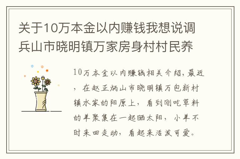 关于10万本金以内赚钱我想说调兵山市晓明镇万家房身村村民养殖60多只羊一年挣10万