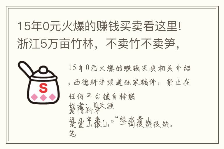 15年0元火爆的赚钱买卖看这里!浙江5万亩竹林,不卖竹不卖笋,老板可每年躺赚70万,是骗局吗?