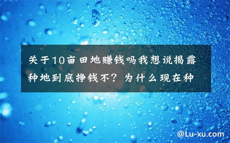 关于10亩田地赚钱吗我想说揭露种地到底挣钱不?为什么现在种地成了“兼职”,打工成了主业