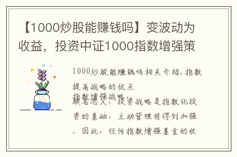 【1000炒股能赚钱吗】变波动为收益，投资中证1000指数增强策略正当其时