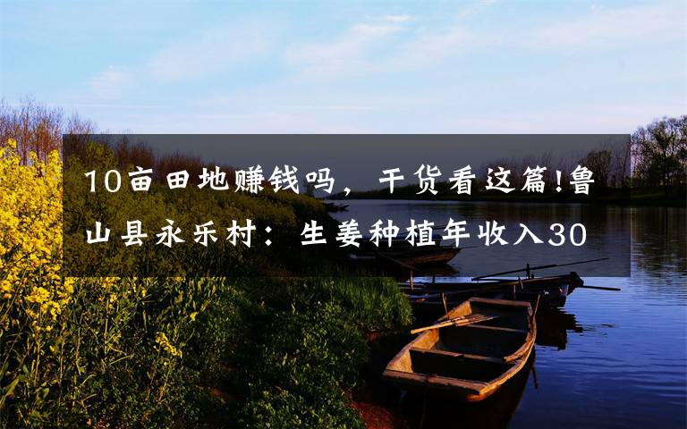 10亩田地赚钱吗,干货看这篇!鲁山县永乐村:生姜种植年收入30余万元