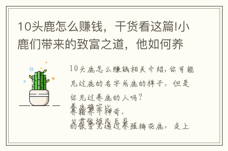 10头鹿怎么赚钱,干货看这篇!小鹿们带来的致富之道,他如何养鹿养出年赚近60万?
